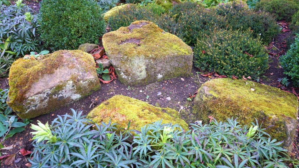 Aerial Photography of Plants